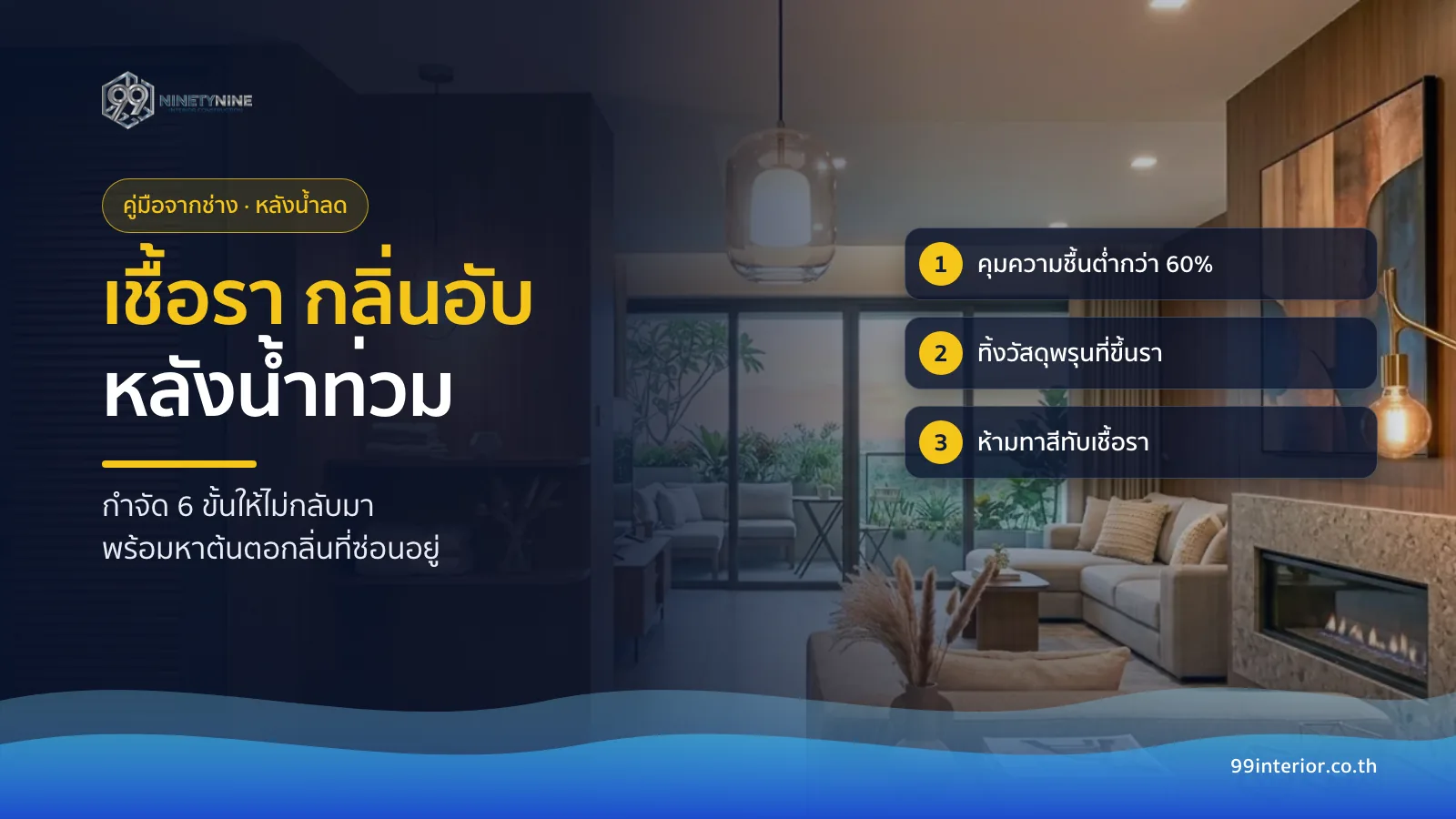 วิธีกำจัดเชื้อราและกลิ่นอับหลังน้ำท่วม 6 ขั้น คุมความชื้น ทิ้งวัสดุพรุนที่ขึ้นรา และไม่ทาสีทับเชื้อรา